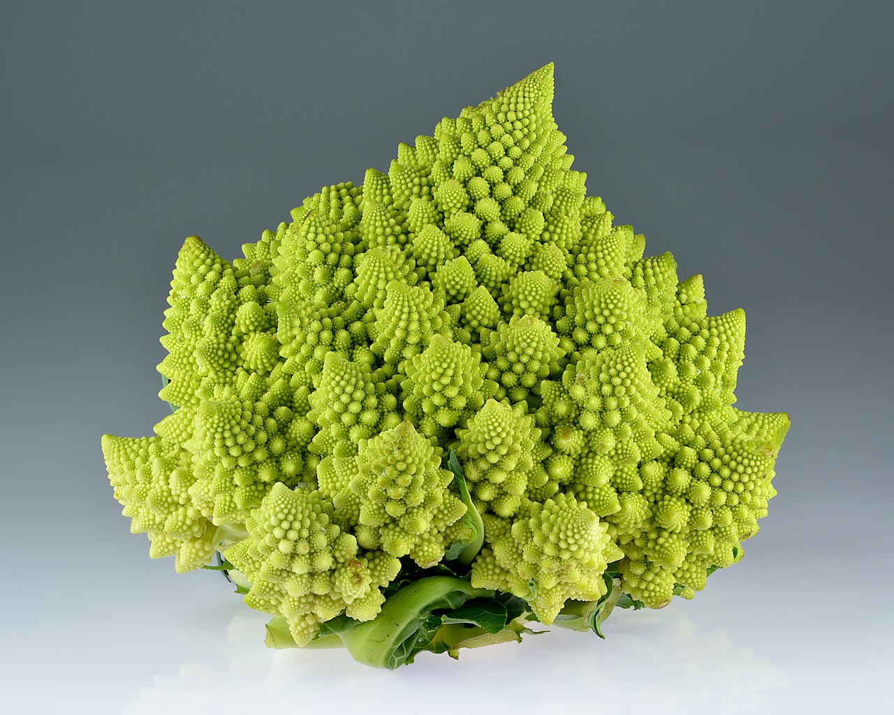 romanesco